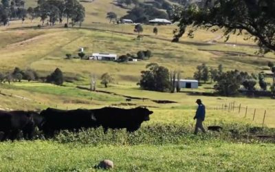 Pentire Angus Pasture Quality Report March 2022